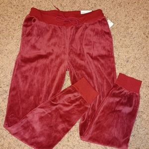 Active + Lounge Wear Women's Maroon  Blessed Jogger Pants